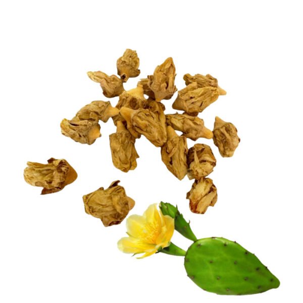 Fleur de Figue de Barbarie Séchée