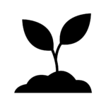Pépinière