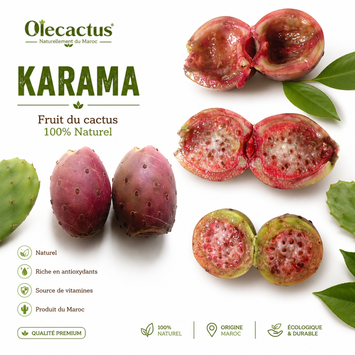 plant karama – Image 2
