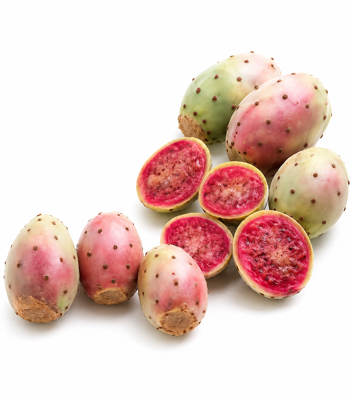 2026/07/133857.png plant Marjana – Image 1